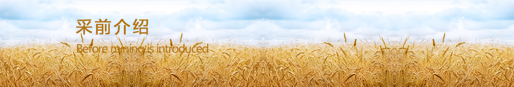采前介绍